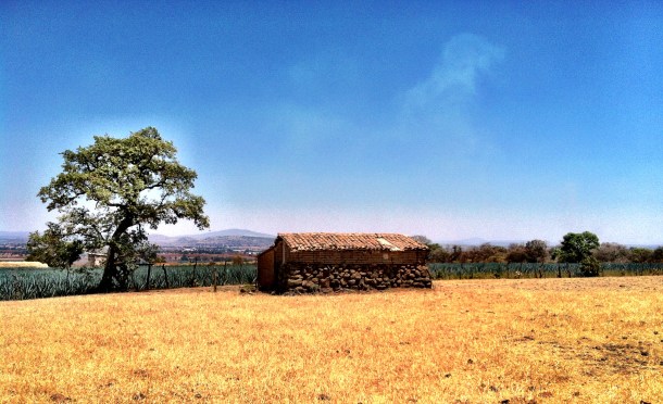 22g - Dulce Vida Organic Tequila Distillery Trip - Guadalajara & Mazamitla, Mexico - May 1-3, 2013